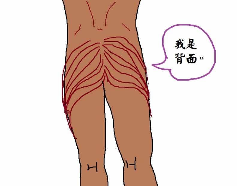 你可知擁有一個強壯的屁屁是件多麼重要的事？