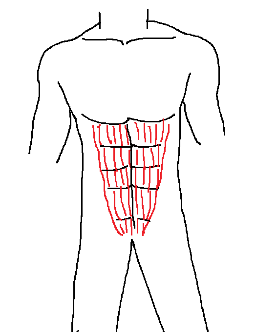 圖解腹肌的正確練法（很重要噢）