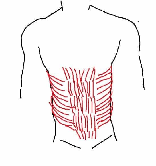 想練出精實六塊肌的您不可不知的５個重點