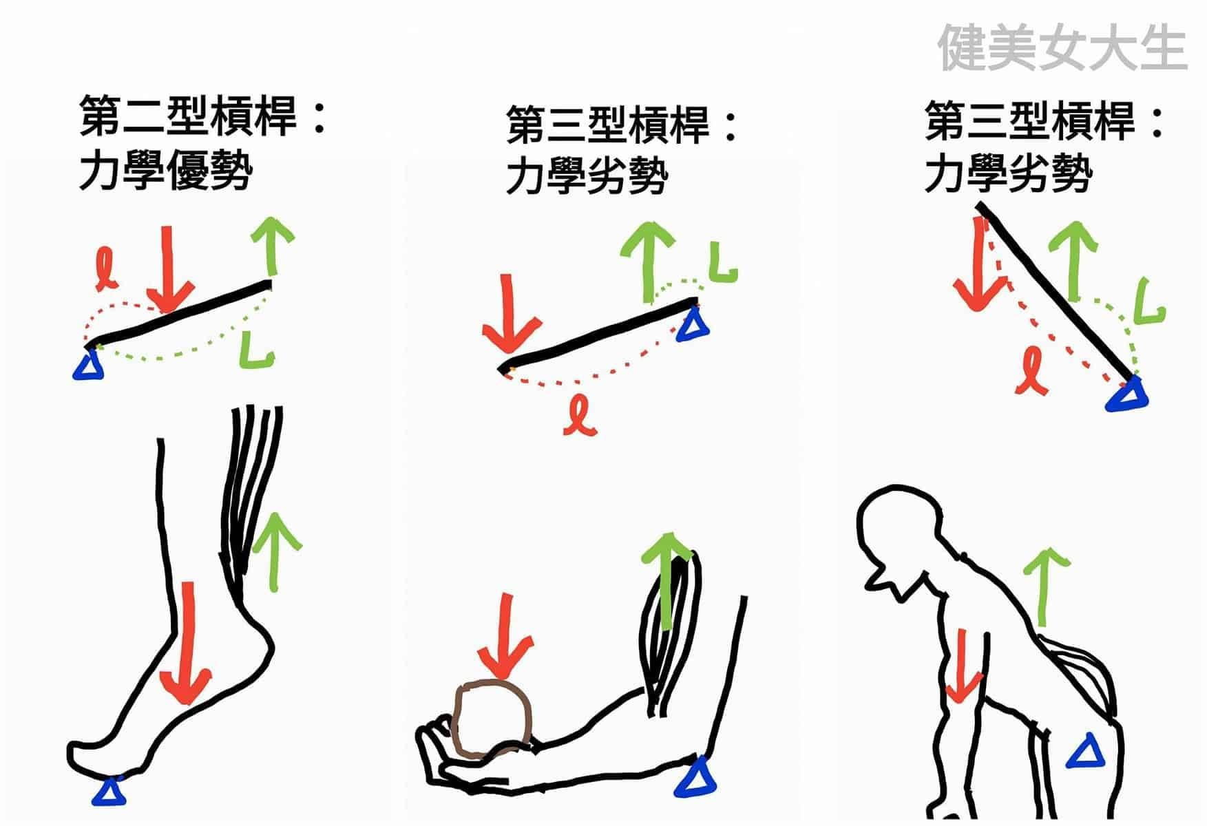 硬舉是危險動作嗎？
