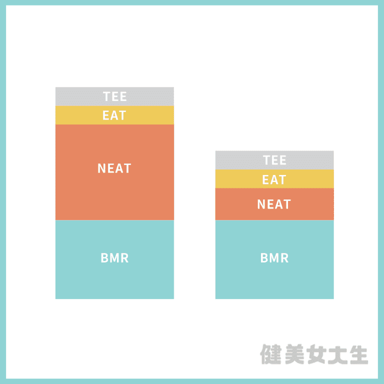 減肥時，為什麼不該只專注在「運動」？