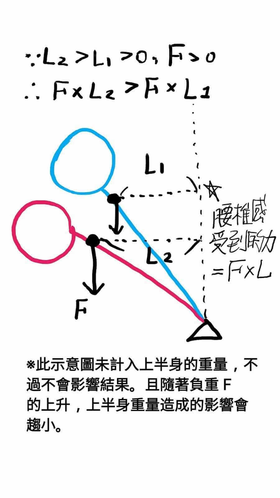 深蹲腰椎受力_0.jpg