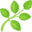 🌿