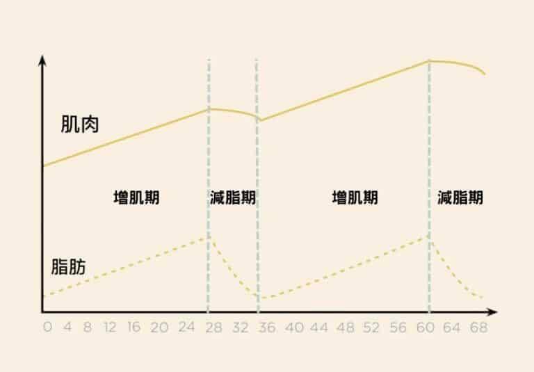 關於「降低體脂肪率」、「減肥肌肉流失」與「減肥後復胖」的幾個迷思破除