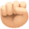 ✊🏻