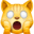 🙀