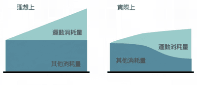 高效減脂必然有停滯期。為什麼？