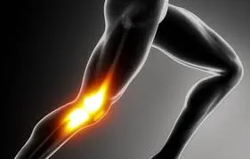 流言終結者 #5：跑步打球做深蹲膝蓋會受傷