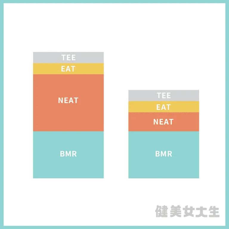 減肥時，為什麼不該只專注在「運動」？