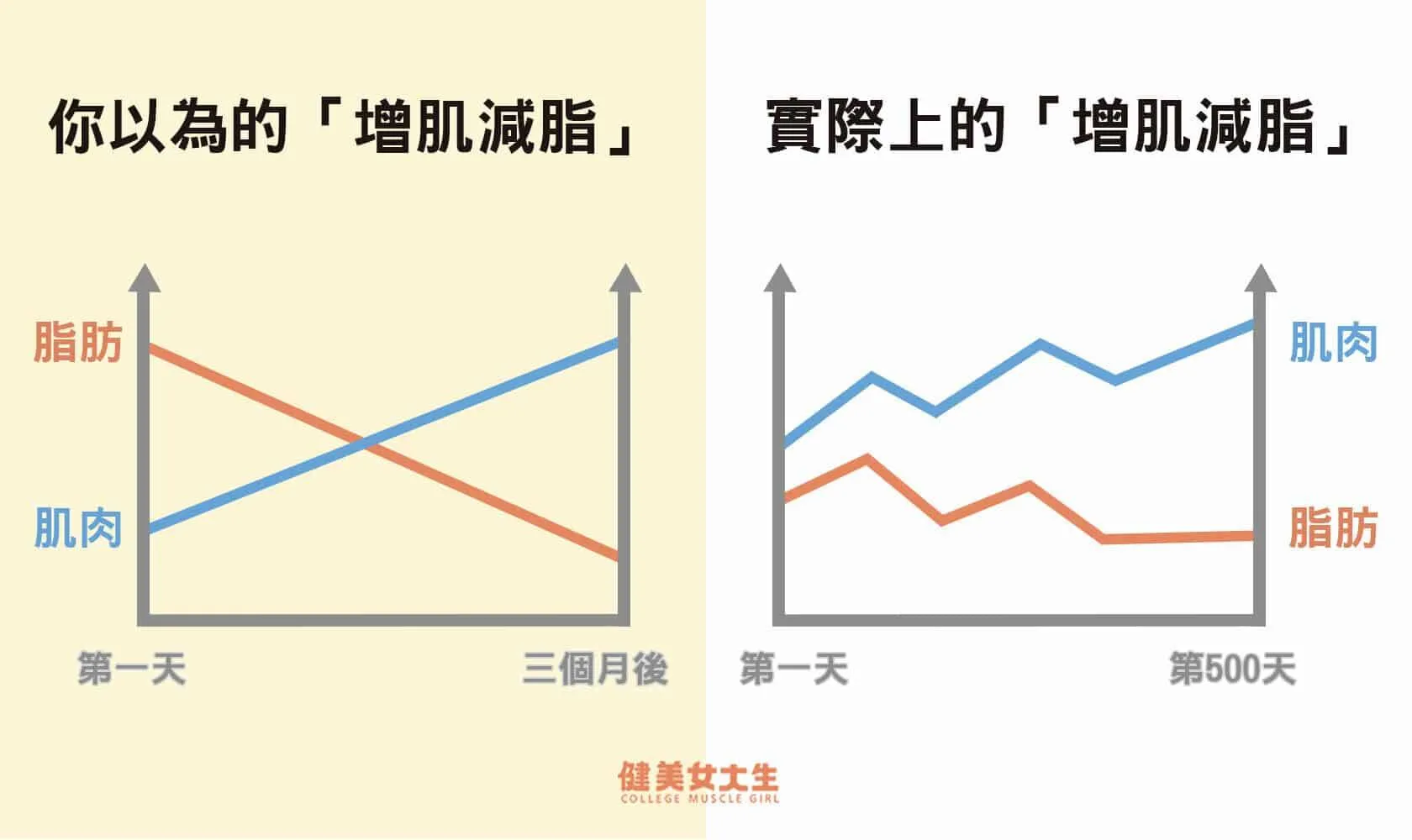 你以為的「增肌減脂」.jpg