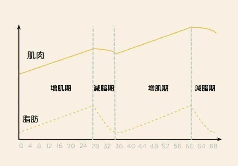 關於「降低體脂肪率」、「減肥肌肉流失」與「減肥後復胖」的幾個迷思破除