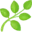 🌿