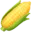 🌽