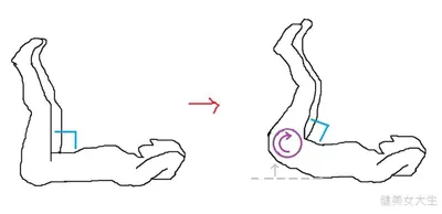 腹肌進階動作之下腹部殺手：反向捲腹完全圖解（很重要！）