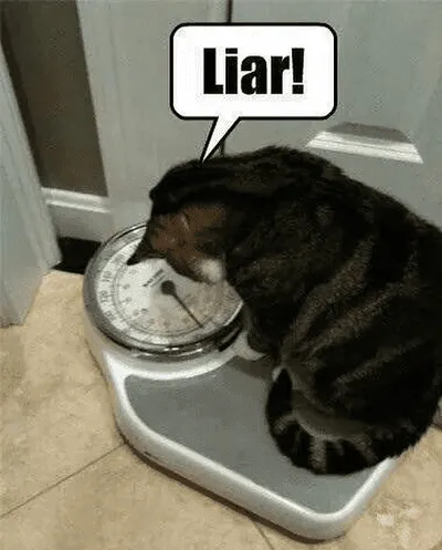 減脂的正確心態：體重計上的數字是工具，不是分數